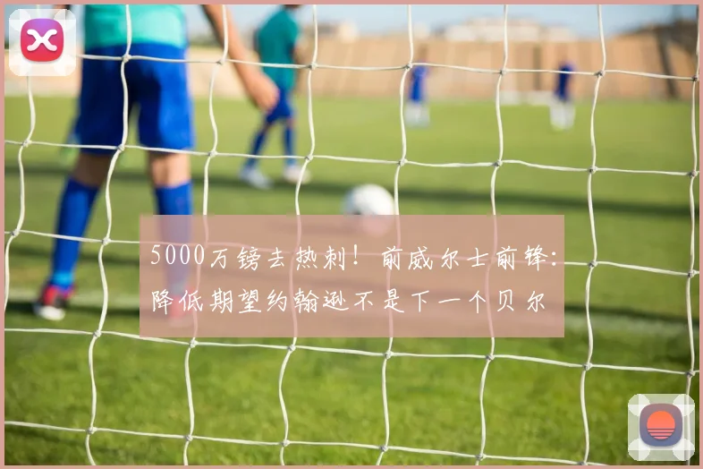 5000万镑去热刺！前威尔士前锋：降低期望约翰逊不是下一个贝尔