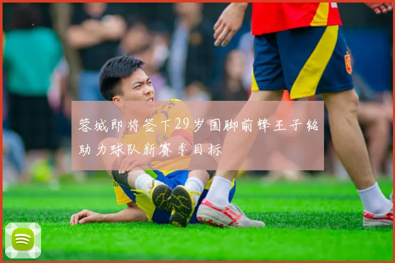 蓉城即将签下29岁国脚前锋王子铭助力球队新赛季目标