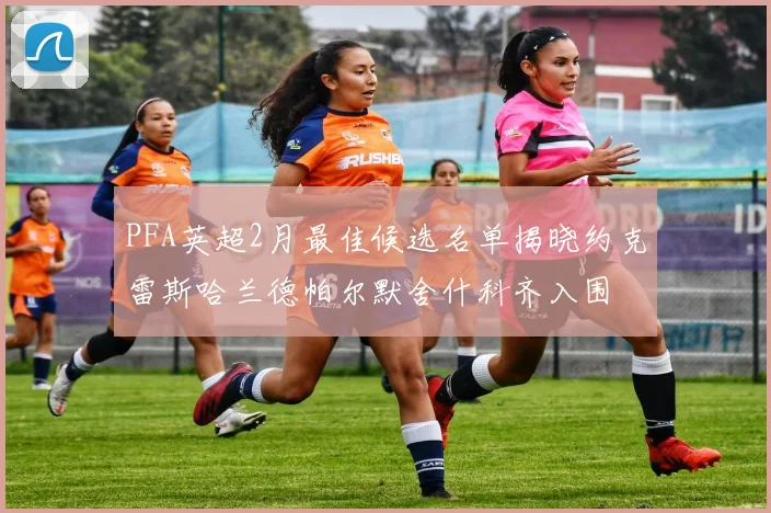 PFA英超2月最佳候选名单揭晓约克雷斯哈兰德帕尔默舍什科齐入围