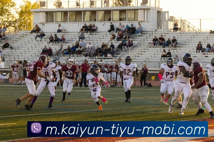 开云体育服务体系